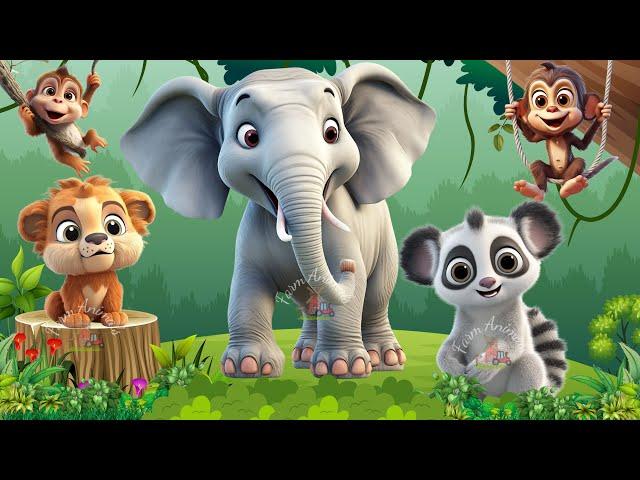 Cute Baby Monkeys - Orangutan, Elephant, Raccoon, Lemur, Lion - ANIMAL (BGM)