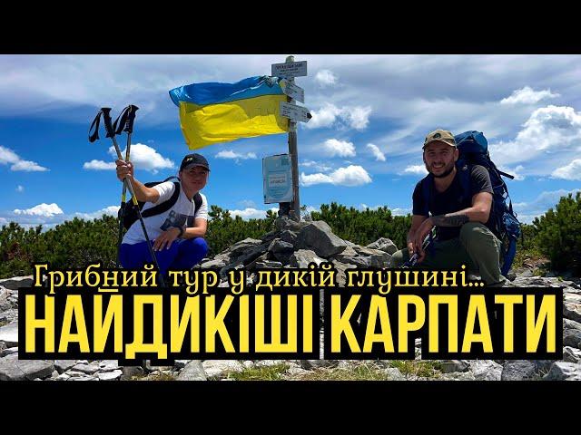 Коли захотілось грибних пригод!!! Їдемо у НайДикішу частину Карпат.