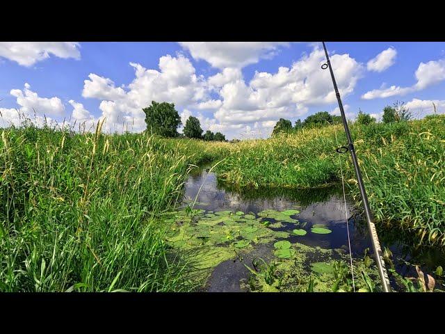 Ловля ЩУКИ В МИКРОРЕЧКЕ !!! Рыбалка на спиннинг