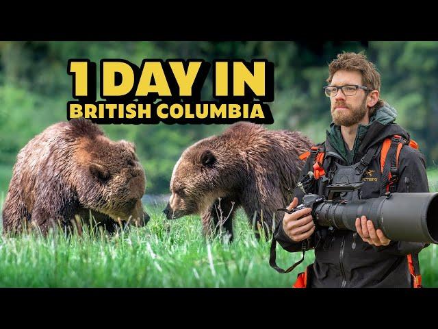 Wildlife Photography in the Great Bear Rainforest - Nikon Z9