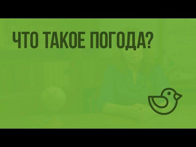 Что такое погода? Видеоурок по окружающему миру 2  класс