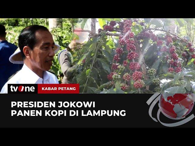 Kunjungi Lampung, Presiden Jokowi Panen Kopi | Kabar Petang tvOne