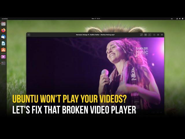 Fix Ubuntu Not Playing Videos (MP4, MKV) & Crash After Installing Codecs on 22.04, 24.04