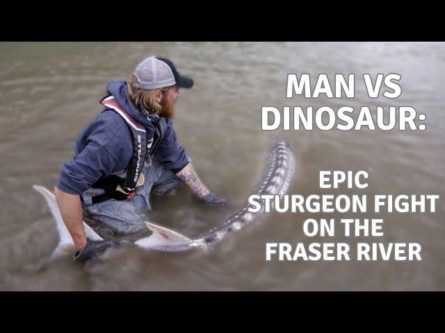 How to Catch Massive Sturgeon in the Fraser River