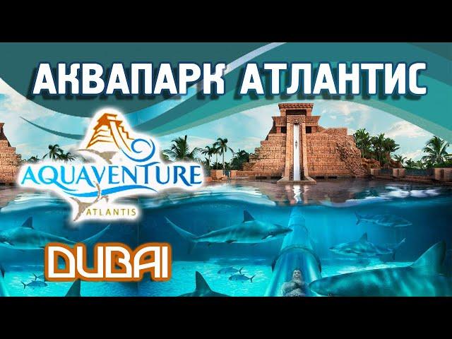 Аквапарк Атлантис Аквавенчер "Aquaventure" Дубай | Билеты со скидкой на сайте Туристино Дубай