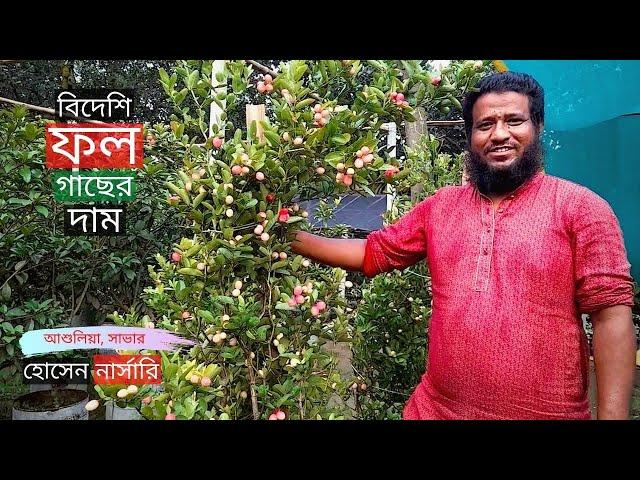 বিদেশি ফলধরা গাছ আশুলিয়ার হোসেন নার্সারিতে | Fruit Tree Price In Ashulia | Gardening Bangladesh