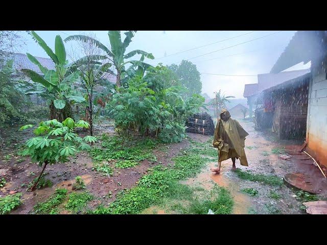 Walking in the rain||beautiful Indonesian countryside||heavy rain all day