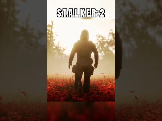 ПОГЛЯНЬ ЯК ТУТ  STALKER 2 EDIT #shorts