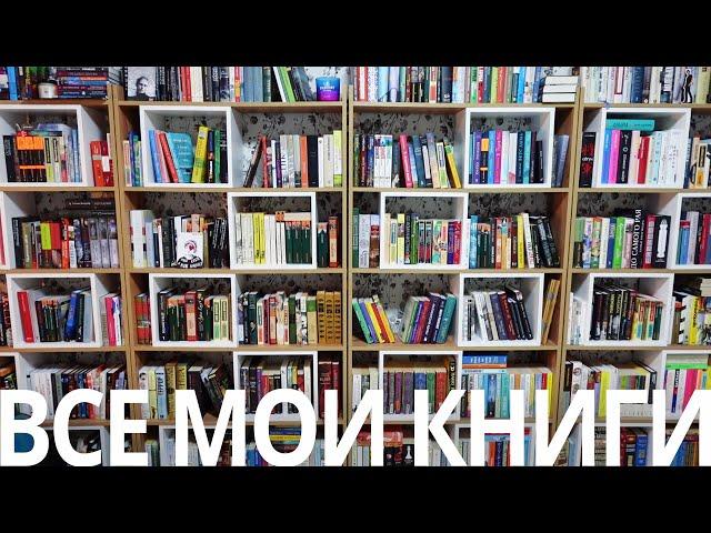 все книги на моих полках | книжные полки