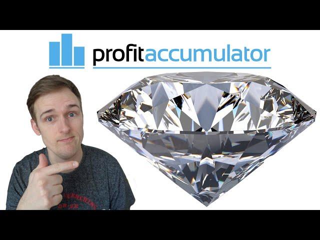 Profit Accumulator Review: Let me show you what you get with Diamond (Platinum Upgrade)