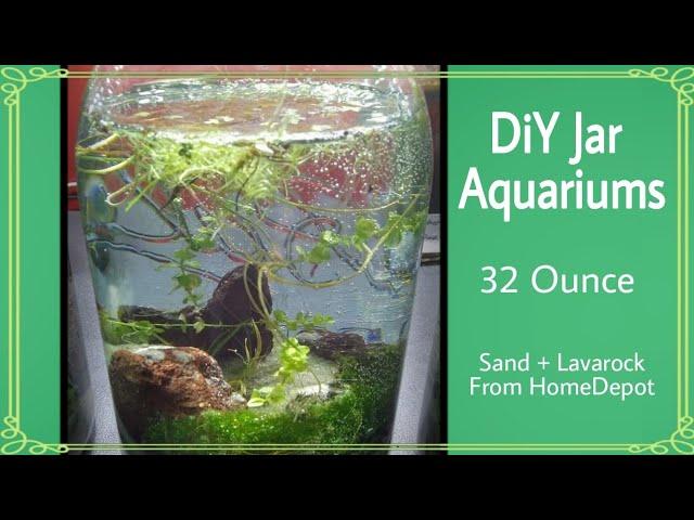 Mason Jar Aquariums | DiY Beginners Guide (BucketPonds) *Reupload