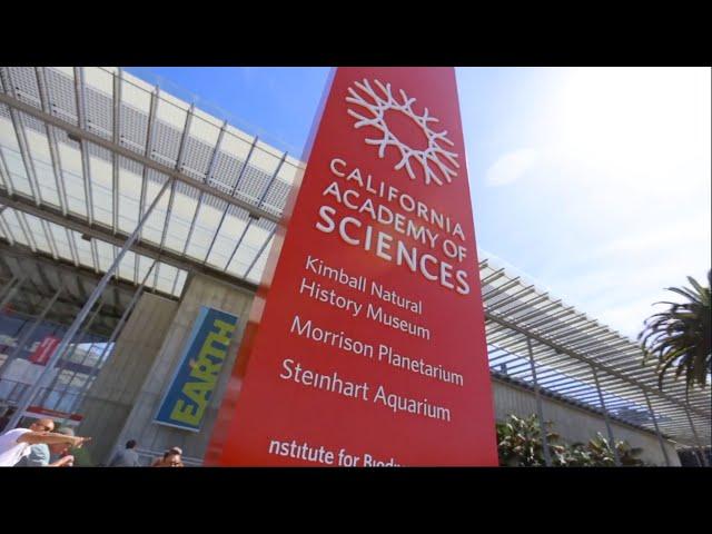 Building of Wonders | California Academy of Sciences