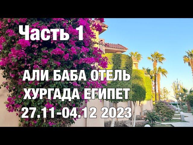 Али-баба отель в Хургаде Египет, отдых в ноябре 2023 Ali baba