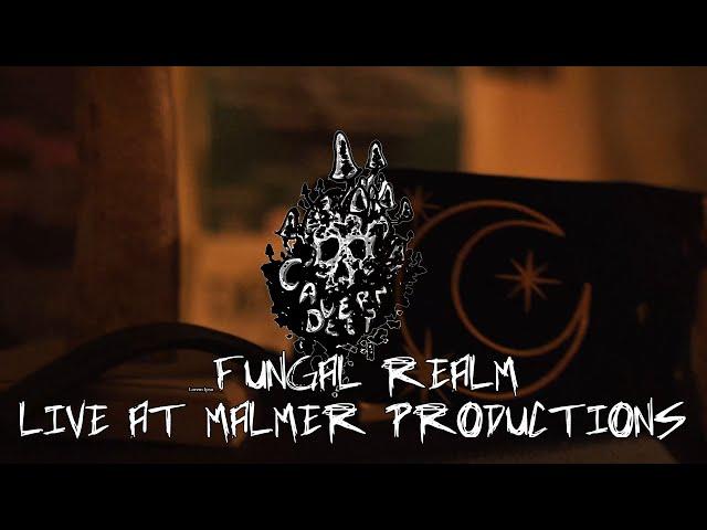 Fungal Realm (Live at Malmer Productions) - Cavern Deep