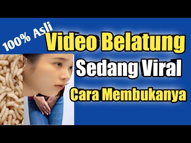 Video Belatung Viral Di Tiktok Gini Cara Nontonnya