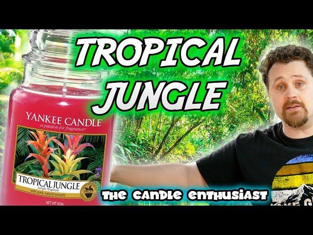 NEW - Yankee Candle - TROPICAL JUNGLE - JUST GO Collection - UK/EU Summer 2018 - Review Evaluation