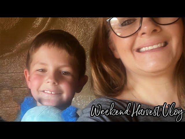 Weekend Harvest Vlog