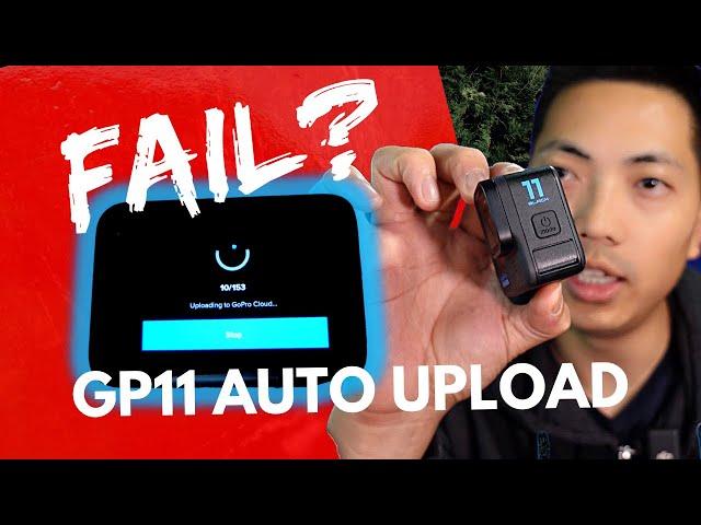 GoPro 11 Tutorial — Easy way to setup Auto Upload to back up your precious footage