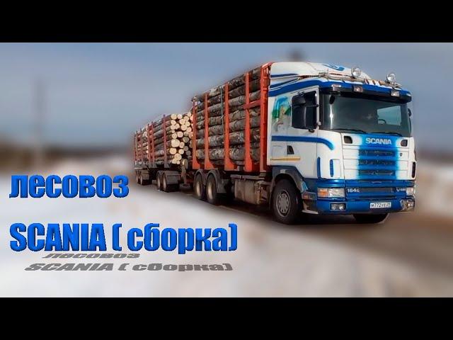 лесовоз scania (сборка) / scania timber carrier (assembly) #scania #scaniatruck #ремонтгрузовиков