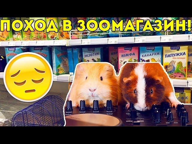 Пример Плохого Зоомагазина / ВЛОГ / Свинки Шоу / SvinkiShow