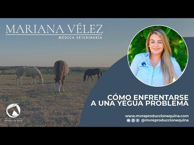 Cómo ENFRENTARSE a una YEGUA PROBLEMA?? - Reproducción Equina