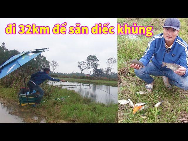 câu cá diếc khổng lồ - đi 32km để chinh phục - phải công nhận cá diếc to thật các bác ạ