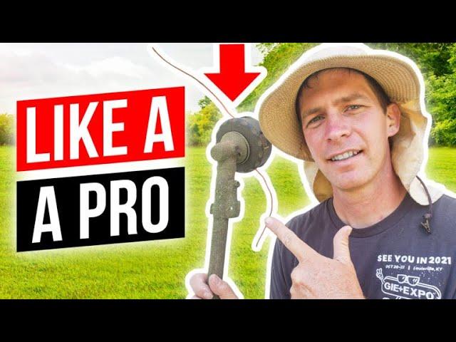 5 String Trimmer Skills to Learn including Lawn Edging, Tree Ring Edging, and Cutting Tall Grass