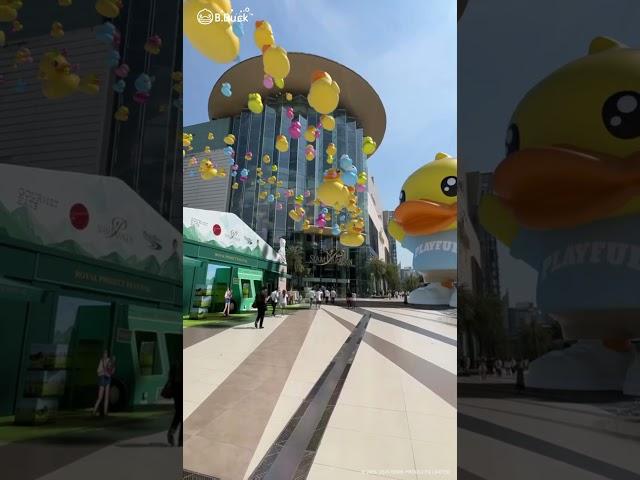 突發巨型B.Duck出沒注意（曼谷版）| BREAKING NEWSGiant B.Duck descends upon Bangkok! #bduck #bduckhk