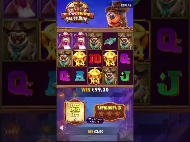 BIG SLOT WIN | The Dog House: Dog or Alive from Pragmatic Play | Wazbee