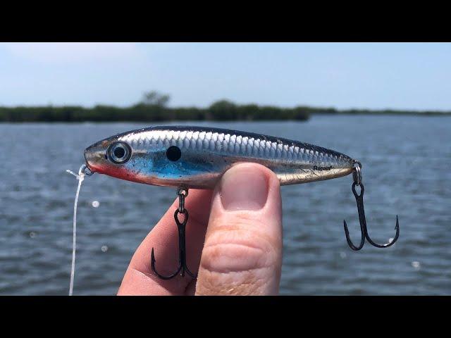 Topwater Lure for Snook and Redfish: Fishing the middle of the day