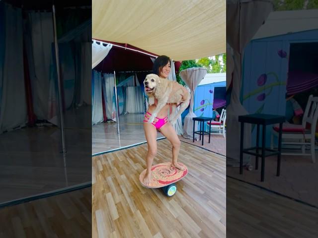 Balance board with your DOG ! #dogfitness  #dogtricks  #fitness #balanceboard #indoboard