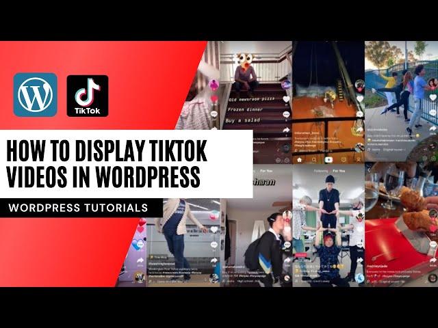 How to Display TikTok Videos in WordPress from your TikTok