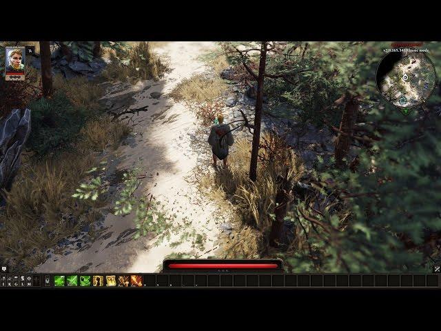 Divinity Original Sin 2 [Game Crash]