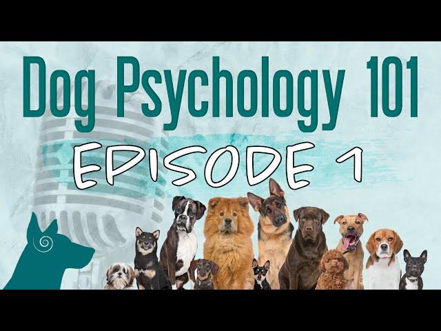 Podcast Ep. 1 | Dog Psychology vs. Human Psychology (Natural Dog Behavior)