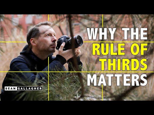 5 Tips to Use the RULE OF THIRDS Like a Professional Photographer