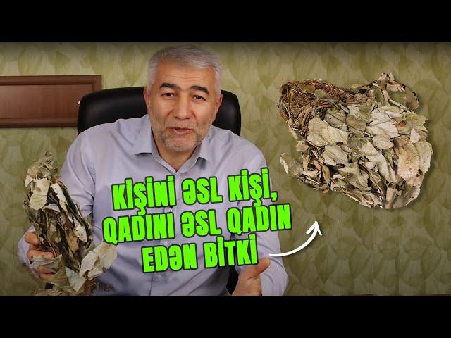 Kişini əsl kişi, qadını əsl qadın edən bitki - Epimedium | Fizuli Hüseynov