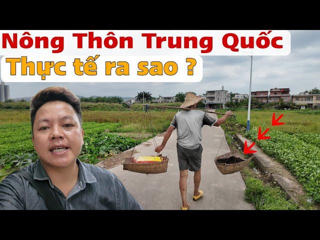 Thăm Nông Trung Quốc Thấy Thực Tế Bên Này Ra Sao ?