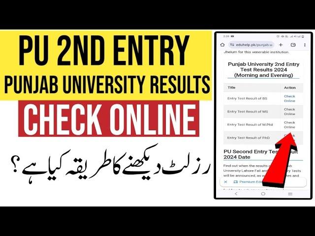 PU 2nd Entry Test Result 2024 | Punjab University Results