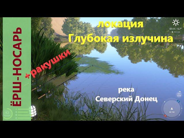 Русская рыбалка 4 - река Северский Донец - Ёрш-носарь среди ракушек