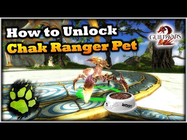 How to Unlock the Chak Ranger Pet in Guild Wars 2 Secrets of the Obscure