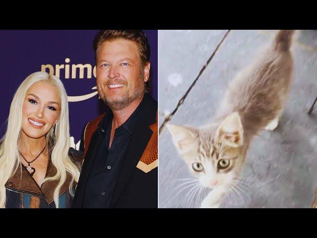 New Update!! Breaking News Of Gwen Stefani And Blake Shelton || It will shock you