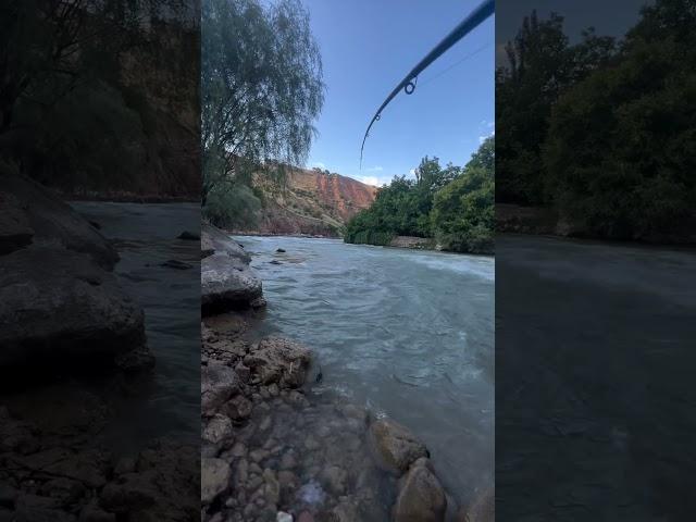 Fishing on Lake Kok suv. Uzbekistan