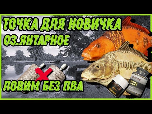 НАЧАЛЬНАЯ ТОЧКА НОВИЧКА ДЛЯ ЛОВЛИ КАРПА БЕЗ ПВА | АРХИВ От 11.05.24 | Янтарное | Русская Рыбалка 4