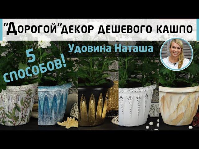 5 decor options plastic pots. From cheap things to home decorations