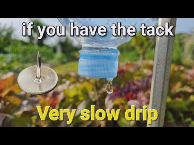 Drip irrigation system slowly  plastic bottle self gravity watering for the garden plants pots