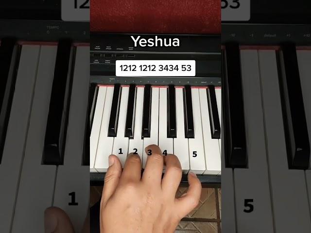 Yeshua Tutorial no teclado para iniciantes #piano #teclado #louvor #tecladomusical #tecladoiniciante