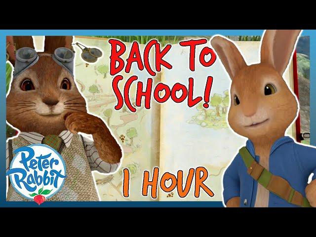 @OfficialPeterRabbit - ️ Back to School Compilation ️ | 1 HOUR | Cartoons for Kids