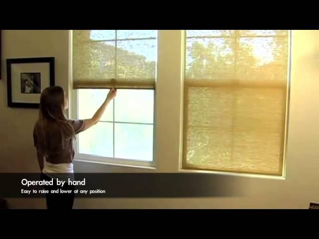 Chicology Cordless Roller Shade