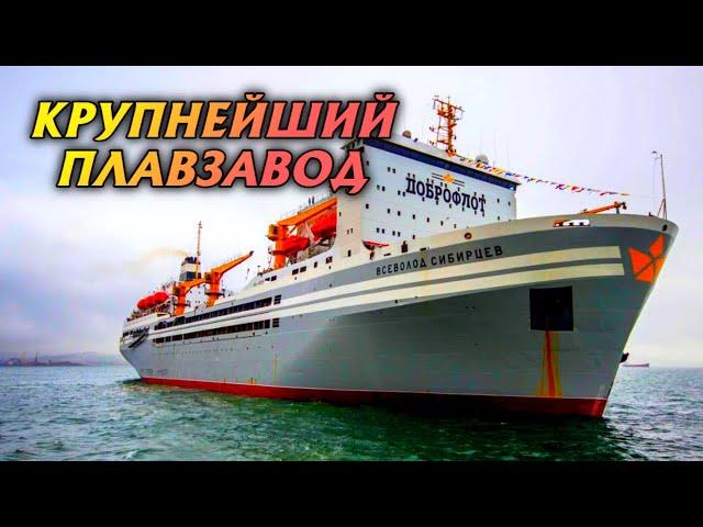 Крупнейшая в мире крабо-рыбоконсервная плавучая база