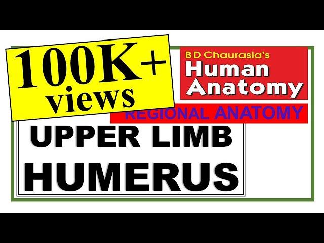 Chp2 | HUMERUS | Upper Limb Bones | BD Chaurasia Regional Anatomy | Dr Asif Lectures